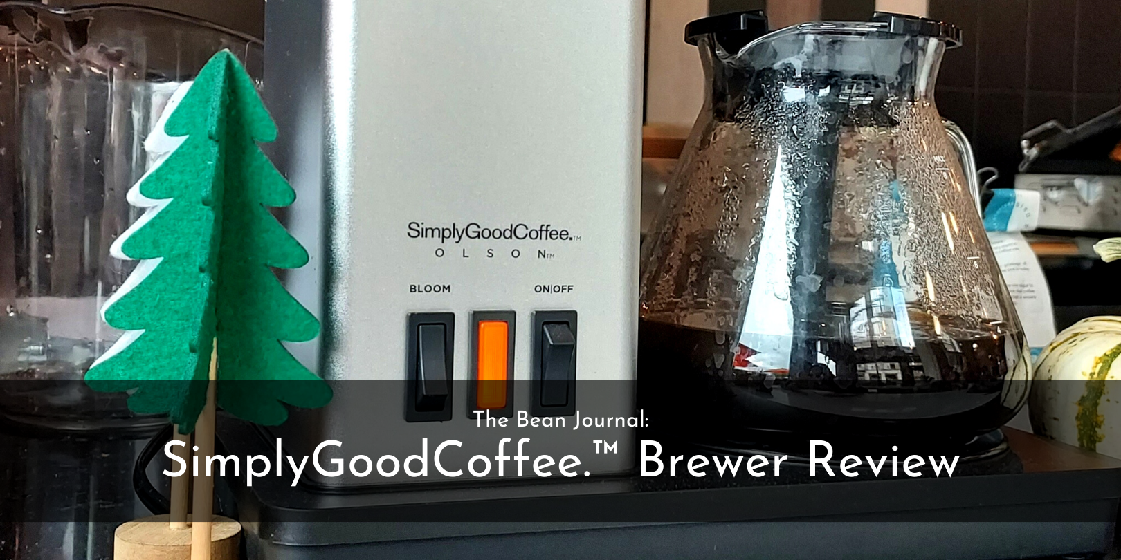 Zachary Ray, Desert Sun Coffee Roasters